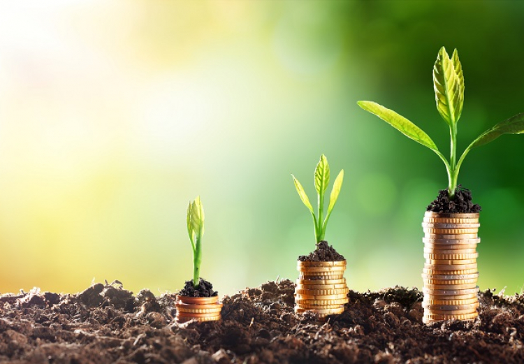 Behavioural Investing  – The power of compounding (3)